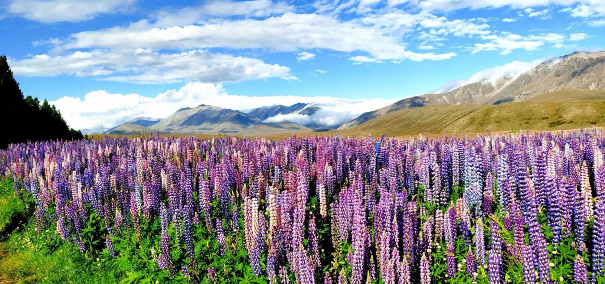 37 Galaxy A Apartment Lake Tekapo Bagian luar foto